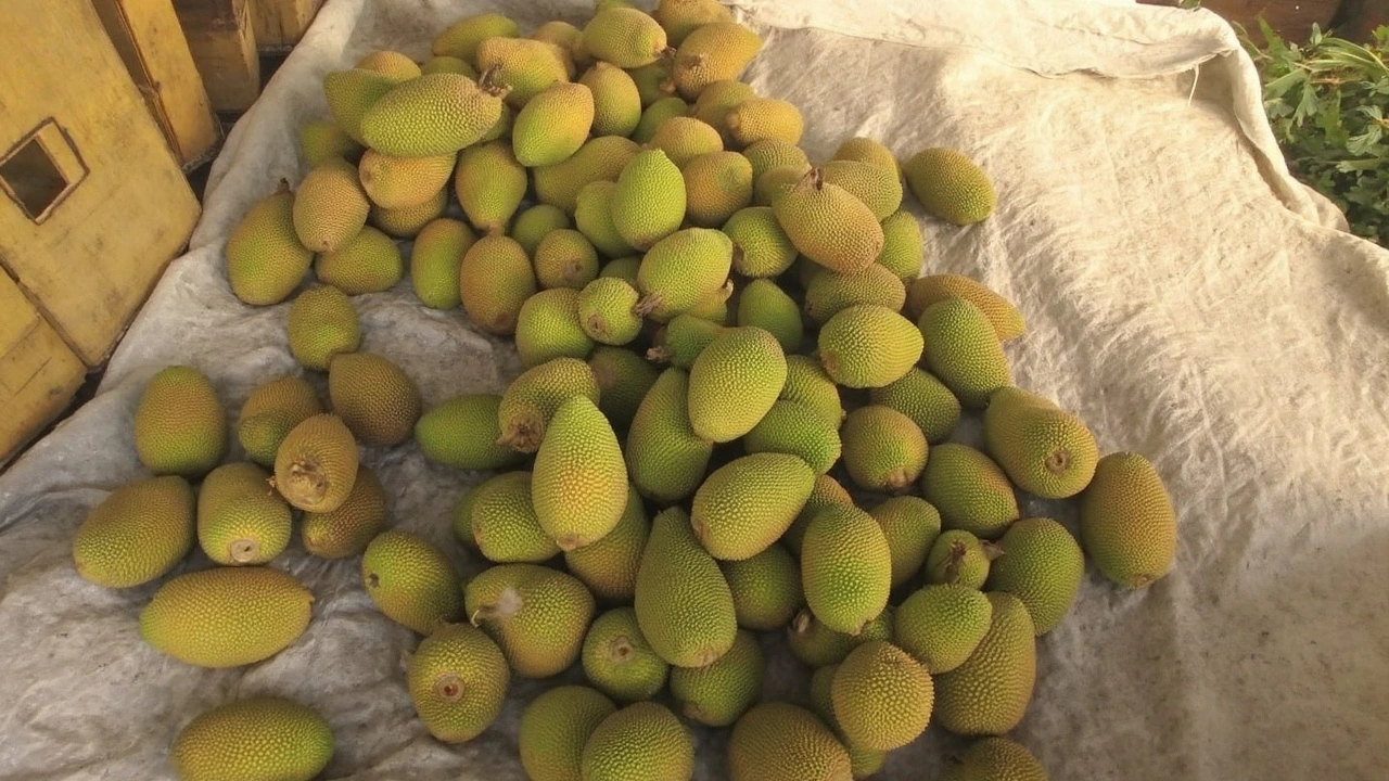 दिल, पाचन और इम्यूनिटी: कटहल के सुपर गुण